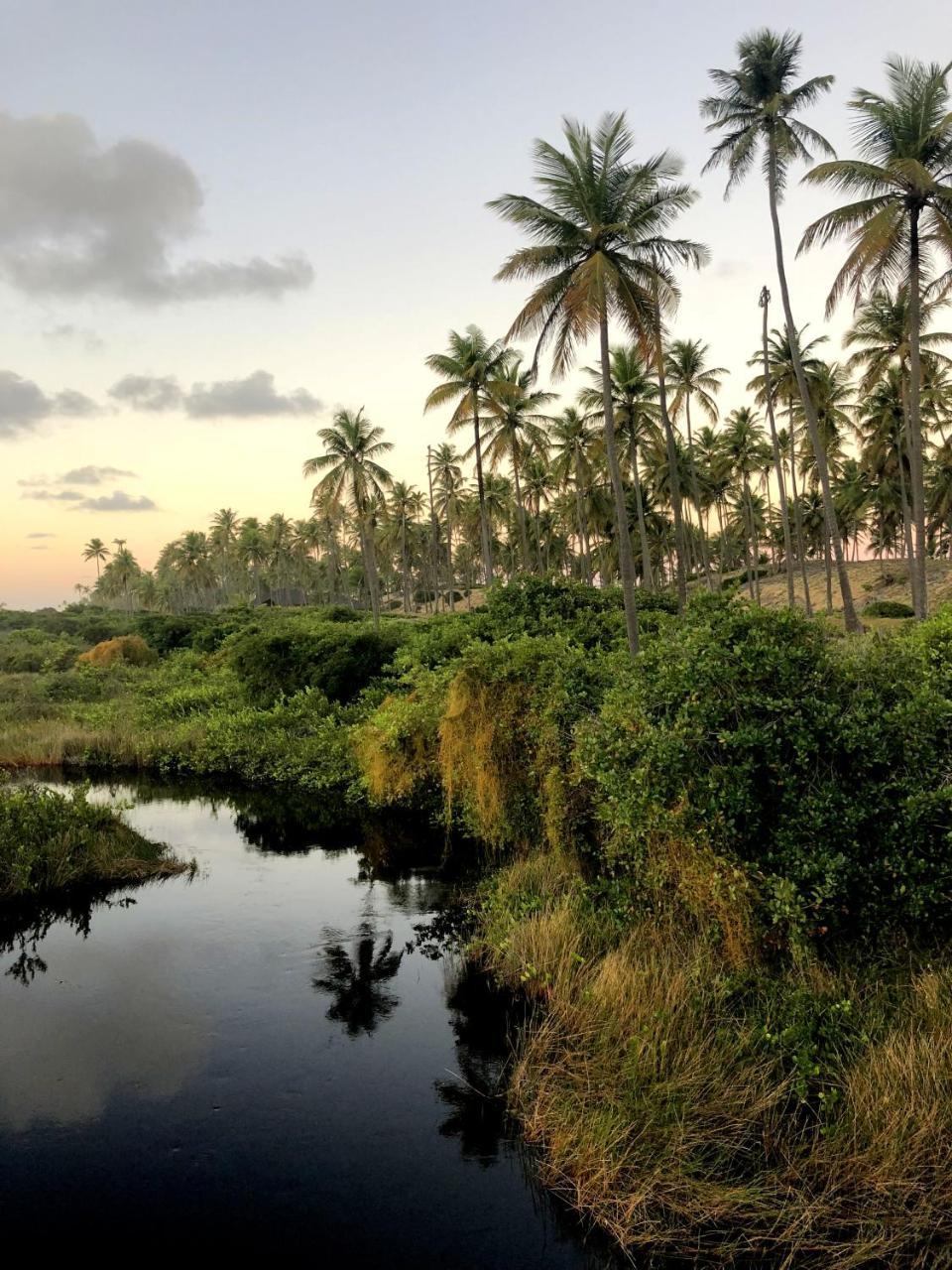 Lindo Village Imbassai Mata de Sao Joao Bagian luar foto